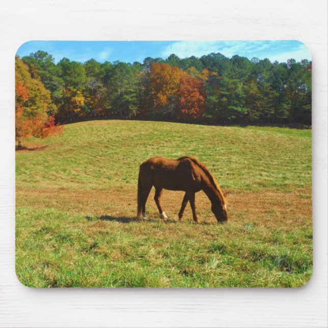 Tapis De Souris Cheval Brown rouge dans les arbres d'automne (Devant)