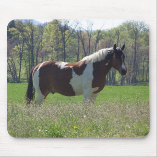 Tapis De Souris Cheval dans les fleurs sauvages