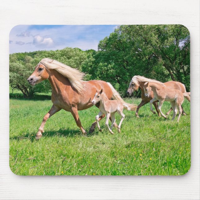 Tapis De Souris Cheval de Haflinger avec de mignons poulains Coure (Devant)