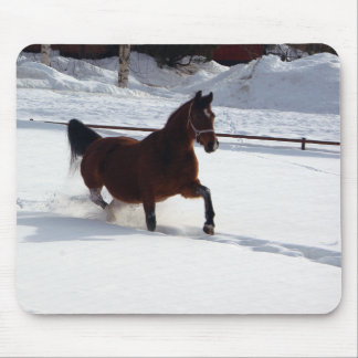 Tapis De Souris Cheval de neige