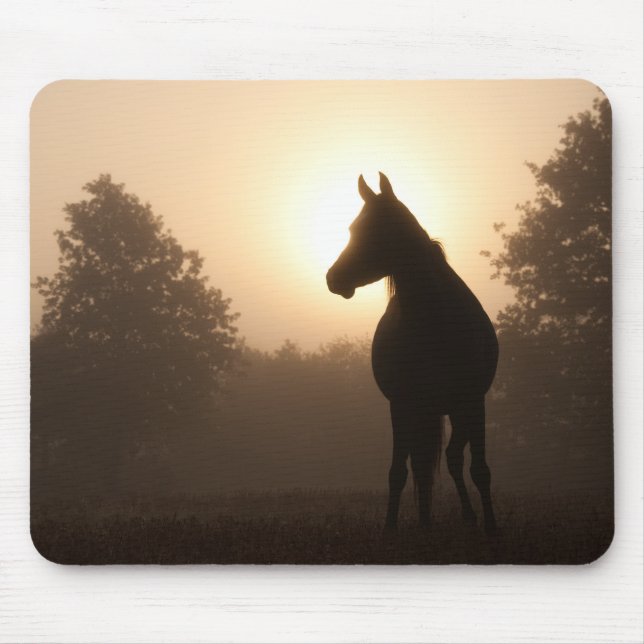 Tapis De Souris Cheval du lever du soleil (Devant)