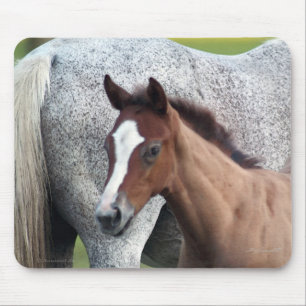 Tapis De Souris Cheval Foie Art Mousepad
