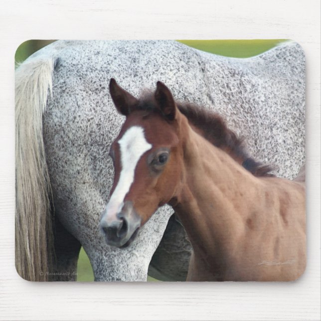 Tapis De Souris Cheval Foie Art Mousepad (Devant)
