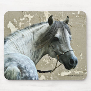 Tapis De Souris Cheval gris
