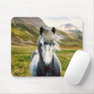Tapis De Souris Cheval gris sauvage dans les montagnes