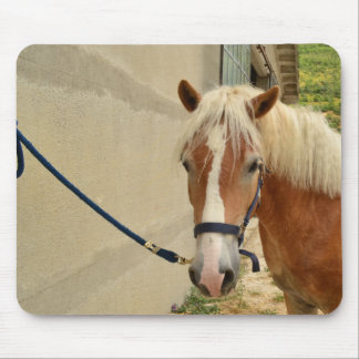 Tapis De Souris Cheval Haflinger