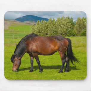 Tapis De Souris Cheval islandais de Mossfellsbaer