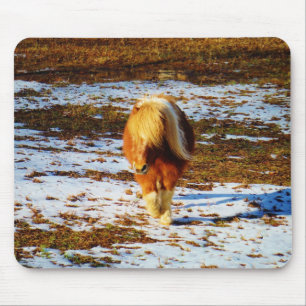 Tapis De Souris Cheval miniature Brown et crème dans la neige.