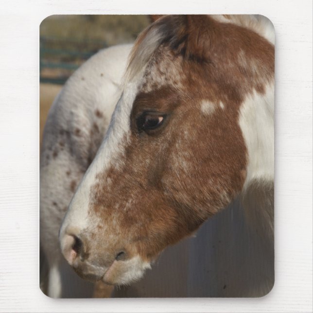 Tapis De Souris Cheval Mousepad (Devant)