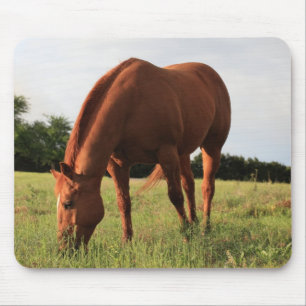 Tapis De Souris Cheval Mousepad de châtaigne