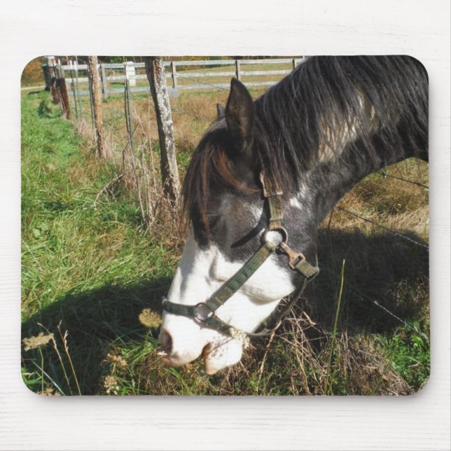 Tapis De Souris Cheval Peint, Manger Reine Ann Fleur dentelle (Devant)