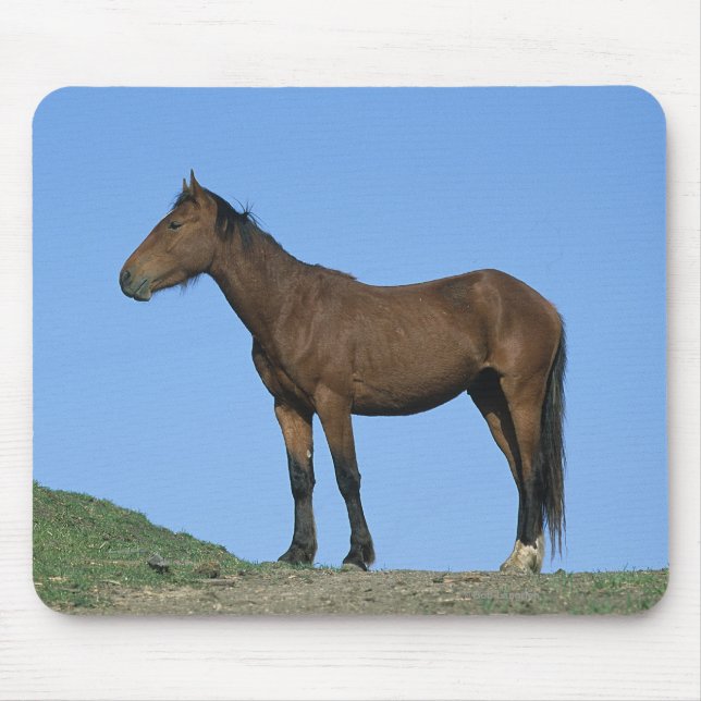 Tapis De Souris Cheval sauvage de mustang (Devant)