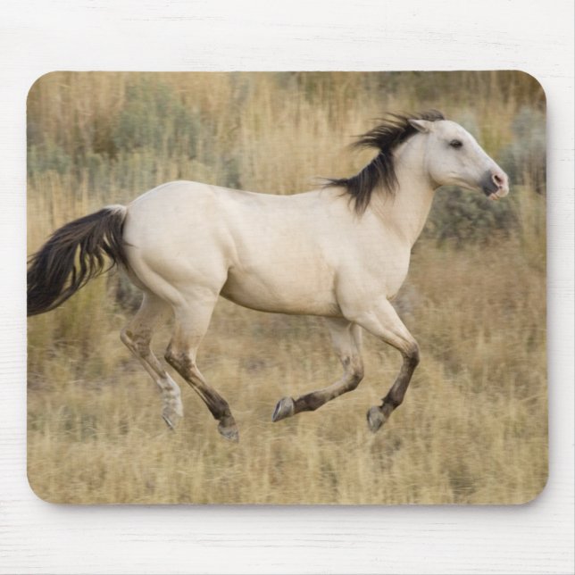 Tapis De Souris Cheval Traversant L'Herbe Des Prairies (Devant)