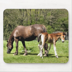 TAPIS DE SOURIS CHEVAUX