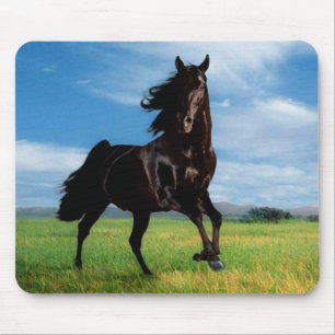 Tapis De Souris Chevaux