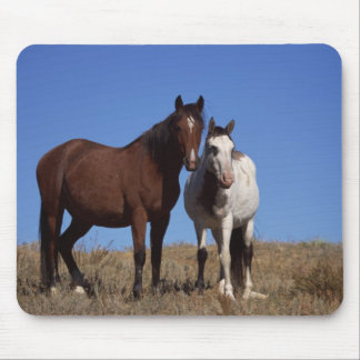 Tapis De Souris Chevaux avec Arrière - plan Sky