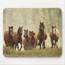 Tapis De Souris Chevaux cresting petite colline pendant la rafle