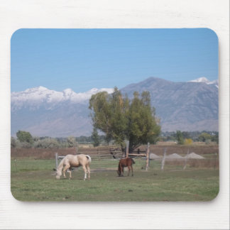Tapis De Souris Chevaux dans le pâturage