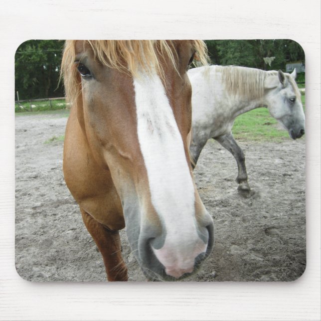 Tapis De Souris Chevaux d'art équestre Mousepad d'Ocala la Floride (Devant)