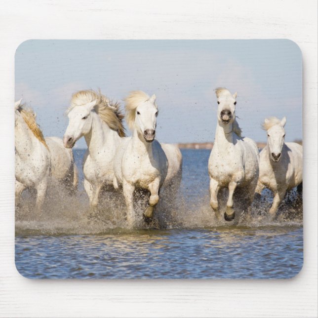 Tapis De Souris Chevaux de Camargue (Devant)