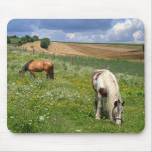 Tapis De Souris Chevaux de pâturage