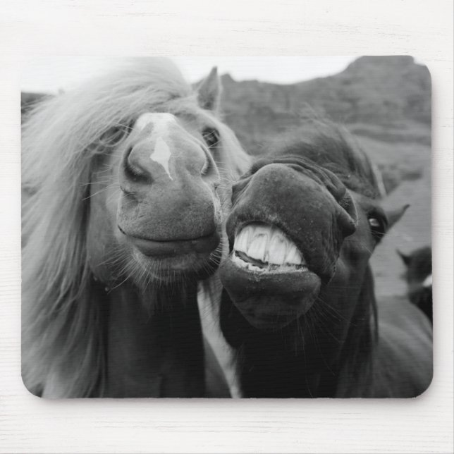 Tapis De Souris Chevaux de sourire des images | de Getty (Devant)