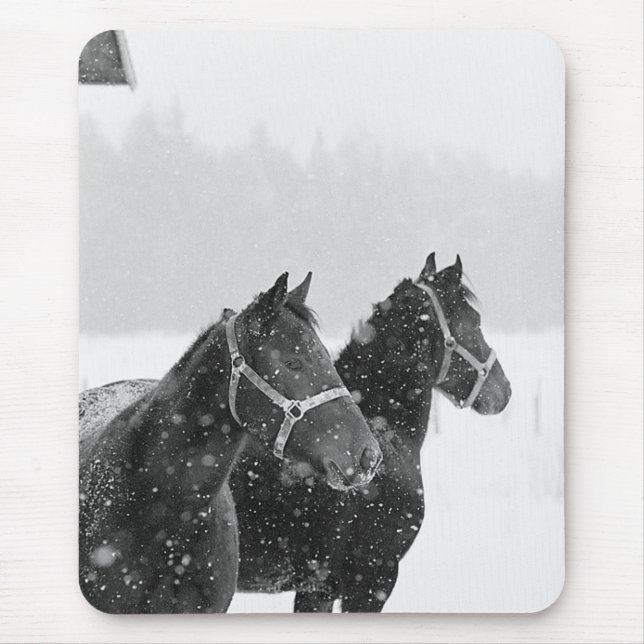 Tapis De Souris Chevaux en chute de neige (Devant)