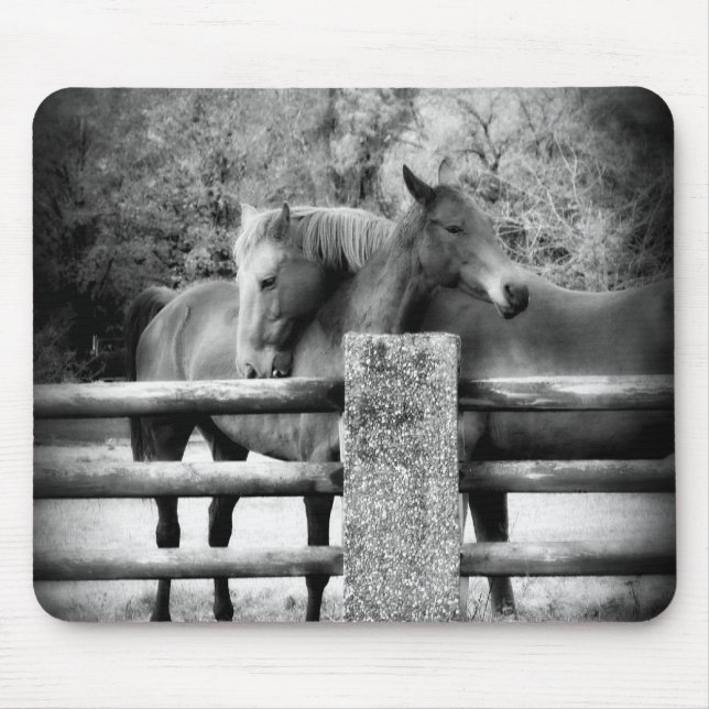Tapis De Souris Chevaux étreignant - photographie d'amour de (Devant)