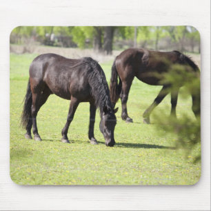 Tapis De Souris chevaux frôlant à une ferme de cheval
