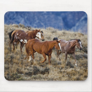 Tapis De Souris Chevaux Parcourir les collines