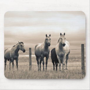 Tapis De Souris Chevaux Quarter sur la prairie canadienne