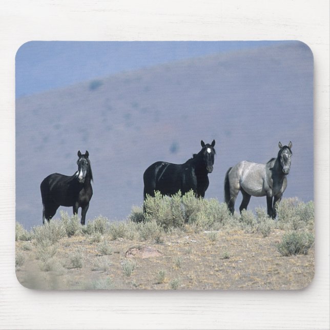 Tapis De Souris Chevaux sauvages de mustang dans le désert 3 (Devant)