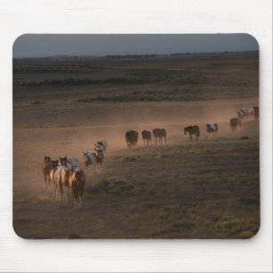 Tapis De Souris Chevaux Sauvages Marchant Vers Le Désert