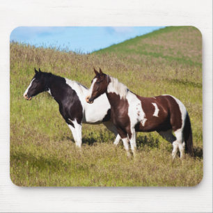 Tapis De Souris Chevaux sur le flanc de colline