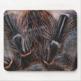 Tapis De Souris cheveux d'araignée