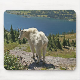 Tapis De Souris Chèvre de montagne au parc national des Glaciers
