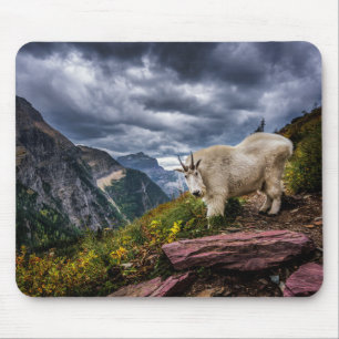 Tapis De Souris Chèvre de montagne rocheuse