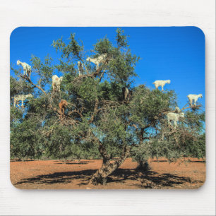 Tapis De Souris Chèvres drôles dans les arbres