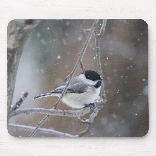 Tapis De Souris Chickadee Noir-couvert - oiseau chanteur (Devant)