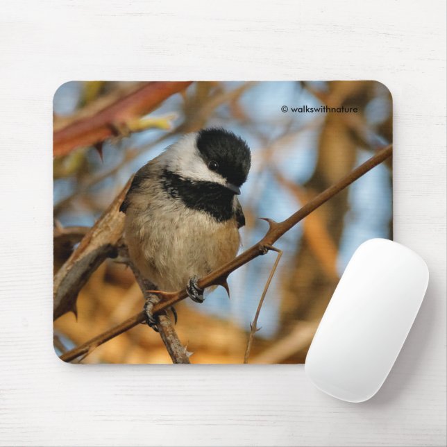 Tapis De Souris Chickadee Songbird, Joli Espérant (Avec souris)