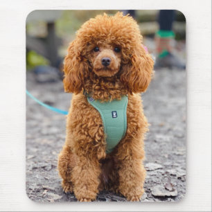 Tapis De Souris Chien à chiots Brown de caniche