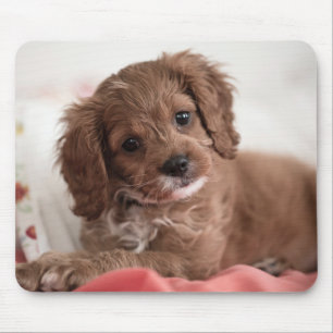 Tapis De Souris Chien à chiots de Ruby Cavapoo