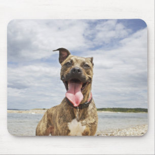 Tapis De Souris chien à la plage