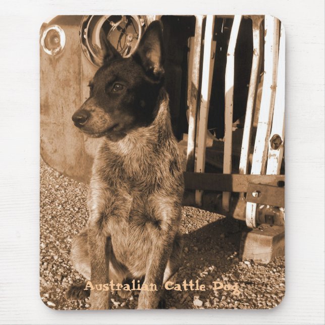 Tapis De Souris Chien australien Mousepad #2 de bétail (Devant)