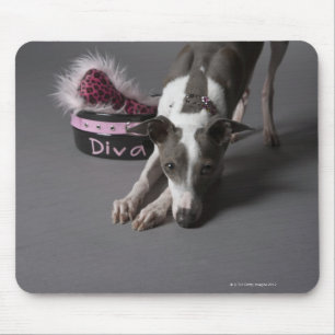 Tapis De Souris Chien avec la cuvette de diva, plancher de