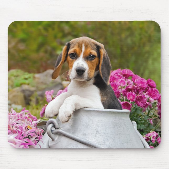 Tapis De Souris Chien Beagle mignon chiot dans une église de lait  (Devant)