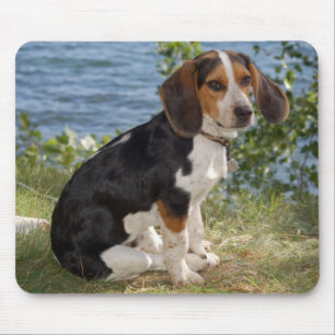 Tapis de souris Chien Beagle Puppy Amour