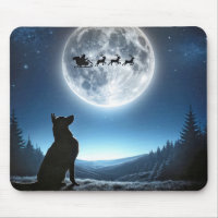 Chien berger allemand observant Père Noël