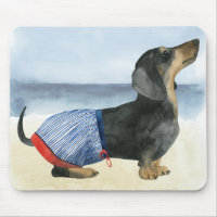 Chien chaud | Chiot Dans Les Troncs De Baignade