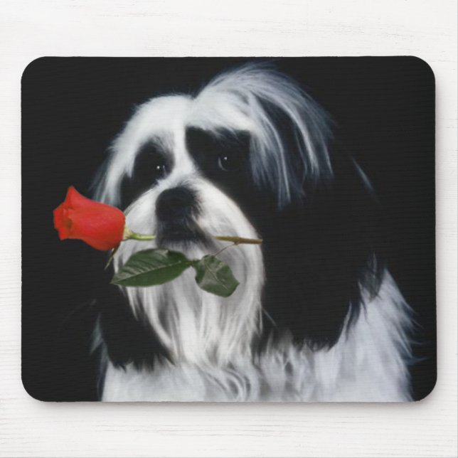 Tapis De Souris Chien Chih Tzu (Devant)